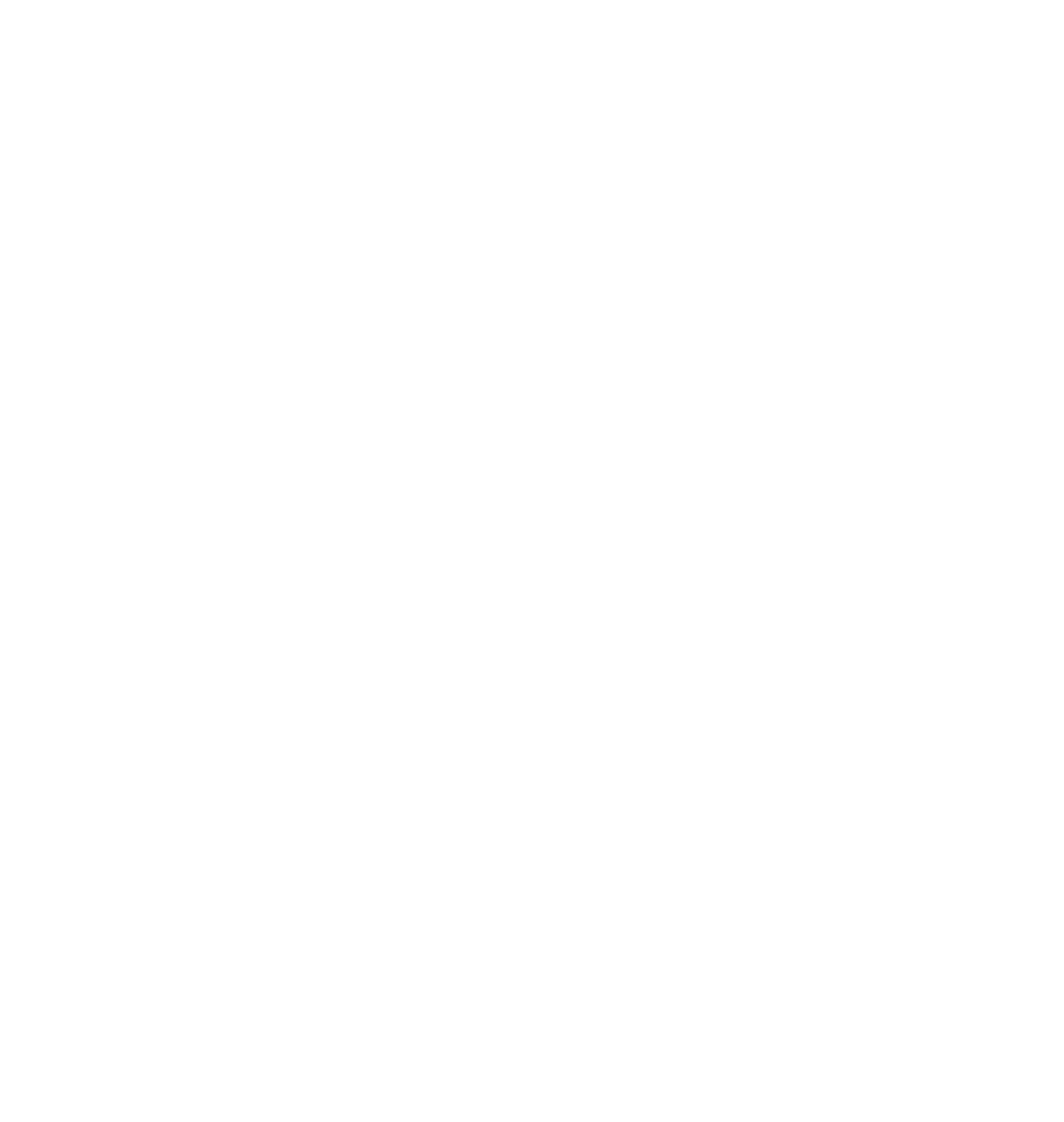 PJP logo white